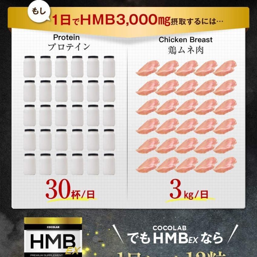 日本製] 最強增肌金賞HMB-EX 90000mg 360粒